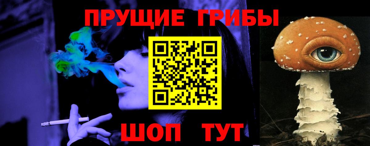 Сосновоборск  Псилоцибиновые грибы мицелий  Вход с VPN 
