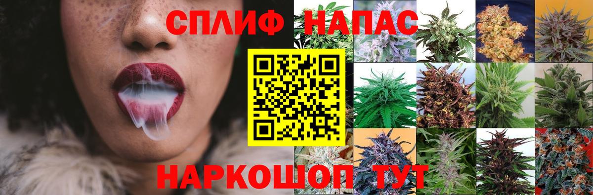 Каннабис сатива Сосновоборск
